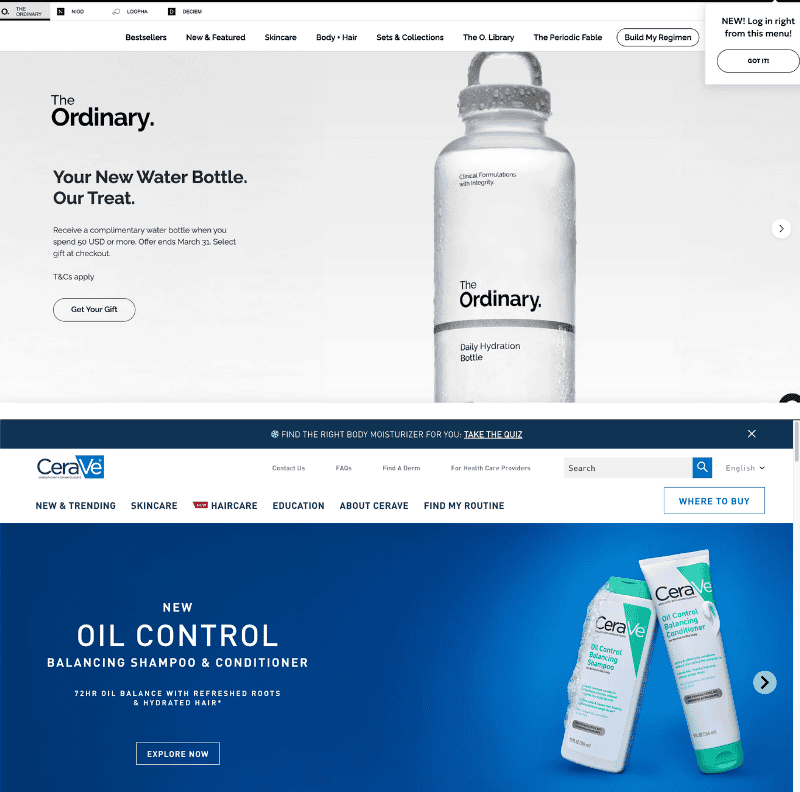 Website Interface